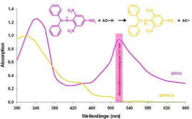 Gambar 2.1 Absorbansi pada spektrum UV dari radikal DPPH (Z, warna violet) dan non radikal DPPH (ZH, warna kuning) 