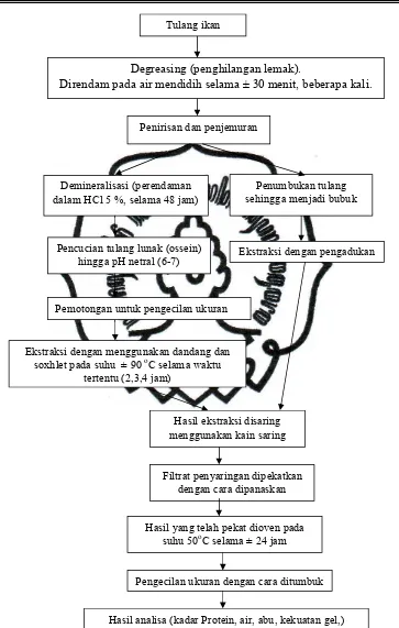 Gambar III.1. Blok Diagram Proses Pembuatan Gelatin dari tulang ikan