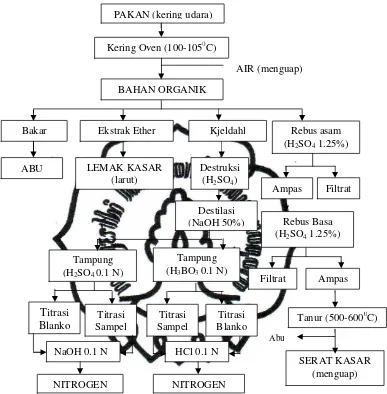 Gambar 6. Skema Sistem Analisa Proksimat (Kamal, 1994). 