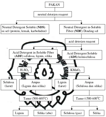 Gambar 7. Skema Sistem Analisa Serat Detergent (Kamal, 1994) 