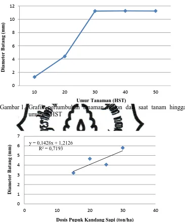 Gambar 1. Grafik pertumbuhan tanaman melon dari saat tanam hingga Umur Tanaman (HST)umur 50 HST 