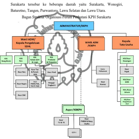 Gambar 1.3 Bagan Struktur Organisasi Perum Perhutani KPH Surakarta 