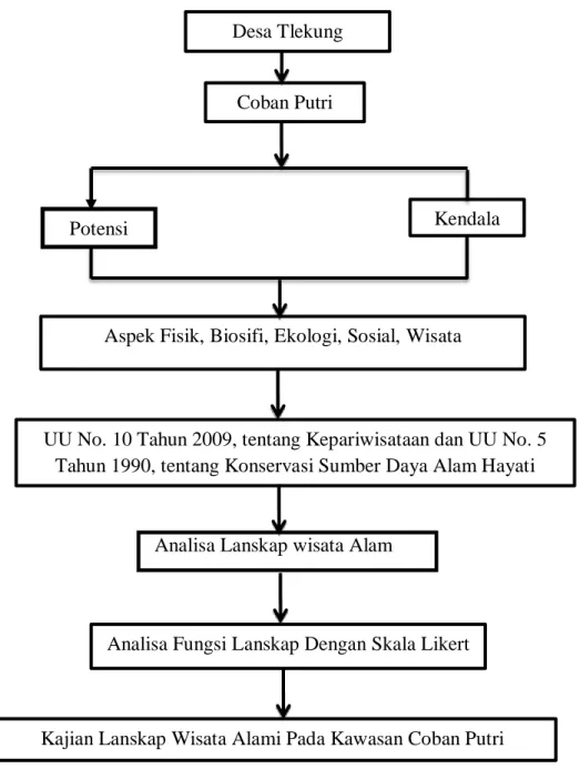 Gambar 1.1   Kerangka Penelitian Potensi 