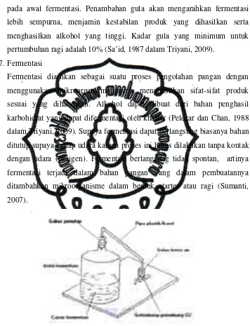 Gambar 2.7 Mekanisme Proses Fermentasi (Deputi Menegristek, 2011). 