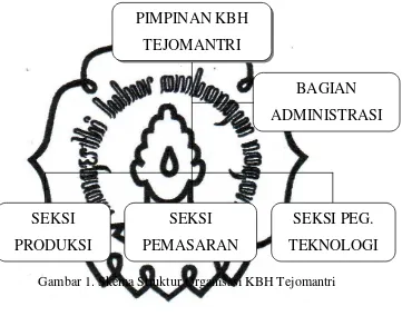 Gambar 1. Skema Struktur Organisasi KBH Tejomantri 