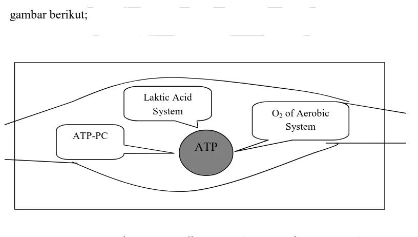 Gambar 1. Penyediaan ATP (Foss, Marle L, 1998:19)  