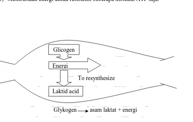 Gambar 3. Oksigen Asam Laktat ( Glikolisis Anaerobics) (Foss, Marle L. 1998:23)  