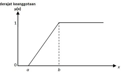 Gambar 2.1 Representasi Linier Naik 