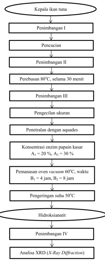 Gambar 3.1. Diagram alir kajian hidroksiapatit dari kepala ikan tuna  sirip kuning (Thunnus albacares) dengan menggunakan XRD (X-Ray 