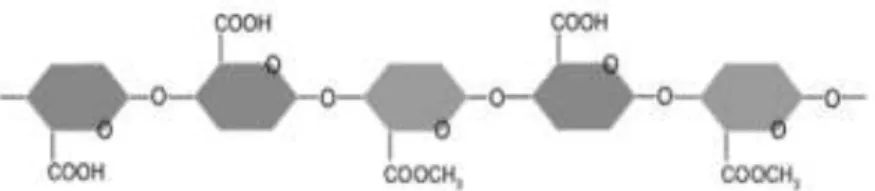 Gambar 2.6 Struktur Pektin dengan Kadar Metoksil yang Rendah (Perina dkk, 2007) 