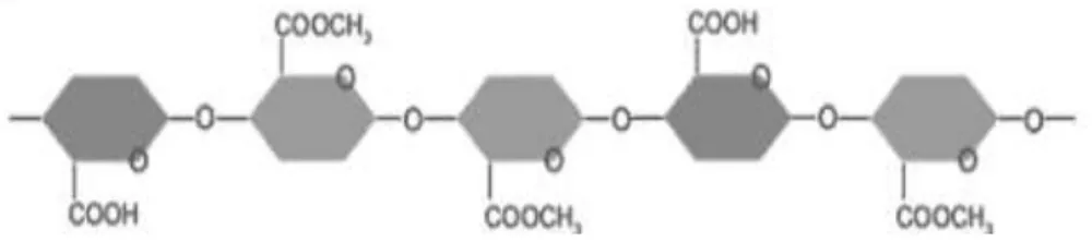 Gambar 2.7 Struktur Pektin dengan Kadar Metoksil yang Tinggi (Perina dkk, 2007) 