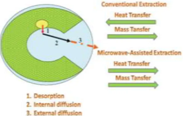 Gambar 2.8 Mekanisme Perpindahan Panas dan Massa Metode MAE dan Konvensional  (Veggie et al., 2013) 