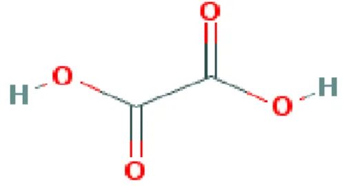 Gambar 2.10 Struktur Asam Oksalat (PubChem, 2004)