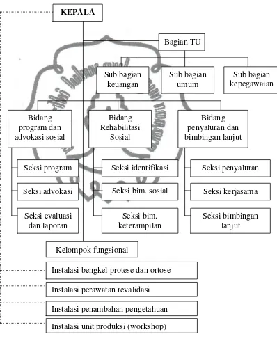Gambar 7. Struktur Organisasi BBRSBD Prof. Dr. Soeharso 