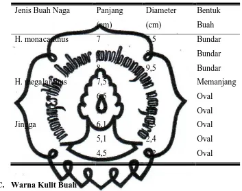 Tabel 4.3 Bentuk Buah Naga Jingga Beserta dengan Induknya 