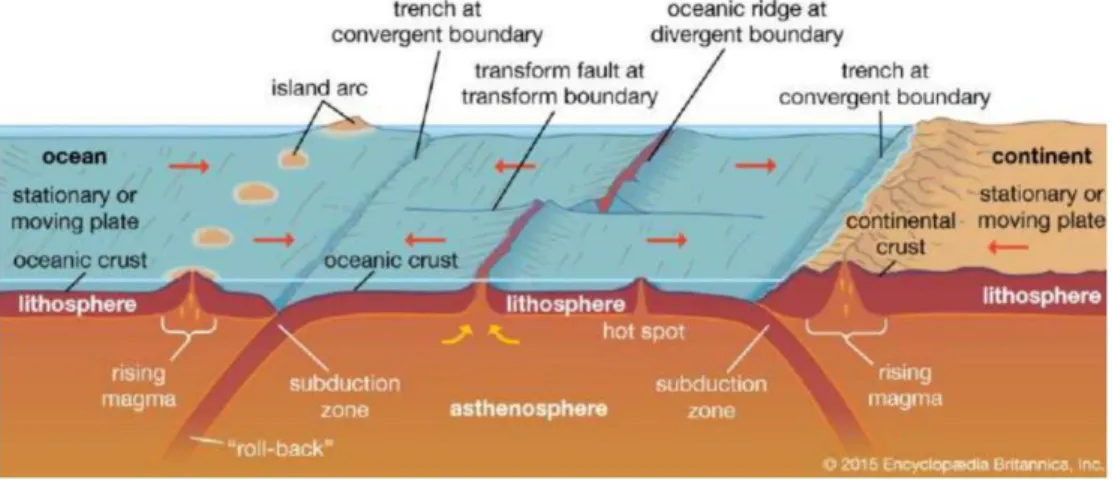 Gambar  1.4  Ilustrasi  atribut  sesar,  struktur  internal  zona  kerusakan  sesar  dan  inti  sesar  (Torabi  et  al.,   2019b)