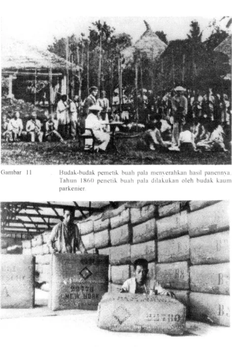 Gambar  II 