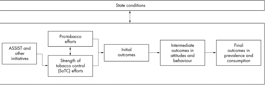 Figure 1General conceptual model for the ASSIST evaluation.17