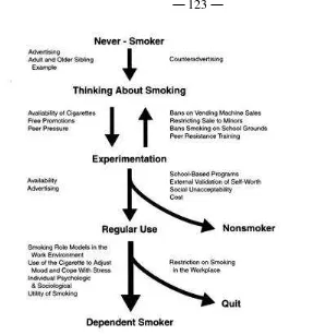 Figure 6. The National Cancer Institute's model of the factors influencing tobacco use