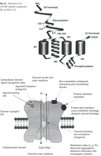 Fig. 4.2฀฀฀Structure฀of฀a฀