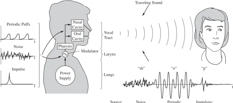 Figure 3.1 Simple view of speech production. The sound sources are idealized as periodic, impulsive, or (white) noise and can occur in the larynx or vocal tract.