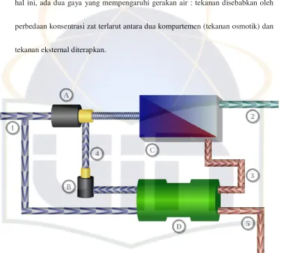 Gambar 2.4 Reverse Osmosis 