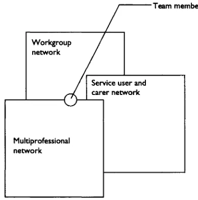 Figure 7.2 Three interlocking networks in multiprofessional teamwork.