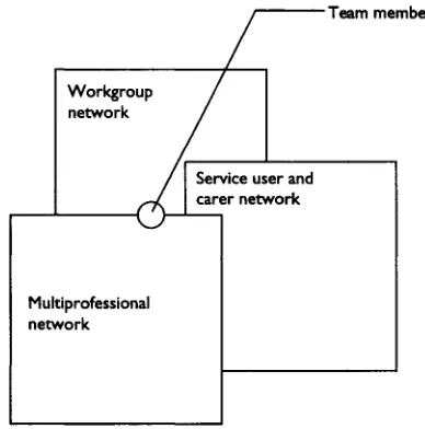 Figure 7.2 Three interlocking networks in multiprofessional teamwork.