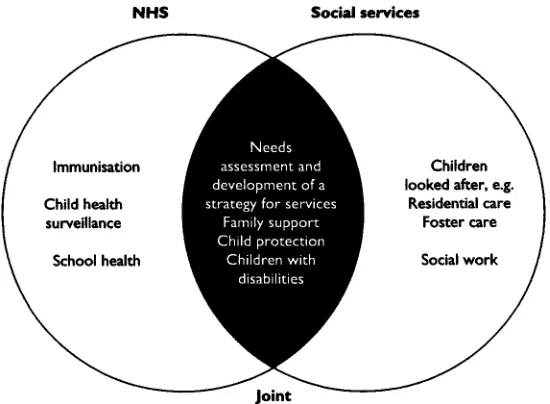 Figure 7.3 Services provided by the NHS and Social Services. Many activities fall withinthe remit of both NHS and Social Services.