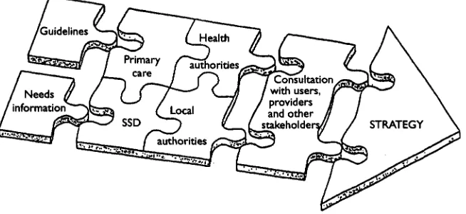 Figure 7.6 The jigsaw model: developing a strategy for mental health. SSD: SocialServices Department.
