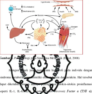 Gambar 2. Patofisiologi pada Sindroma Metabolik (Eckel, 2008) 