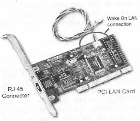 Gambar 3. Kartu Jaringan (LAN Card) PCI dengan Konektor