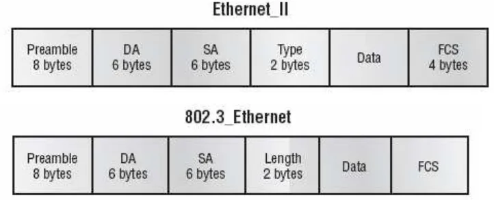 Gambar 1.12   Format Frame 802.3 dan Ethernet  