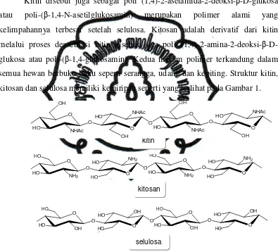 Gambar 1. Struktur kitin, kitosan dan selulosa. 