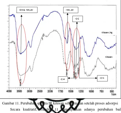 Gambar 11. Perubahan spektra IR kitosan sebelum dan setelah proses adsorpsi 