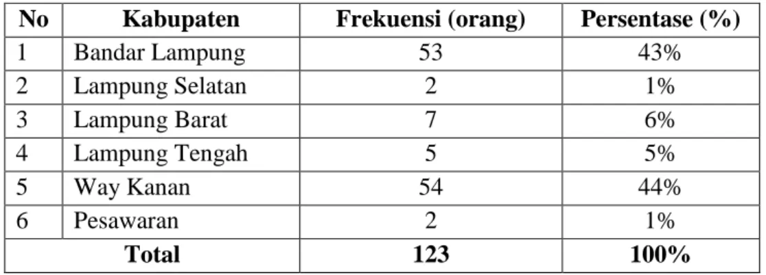 Tabel 4.3 Karakteristik Responden Berdasarkan Kabupaten Pelaku UMKM  Kerajinan Tapis 