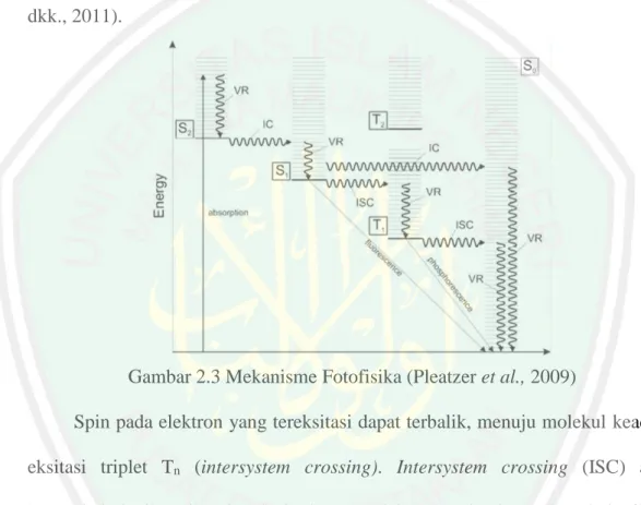Gambar 2.3 Mekanisme Fotofisika (Pleatzer et al., 2009) 