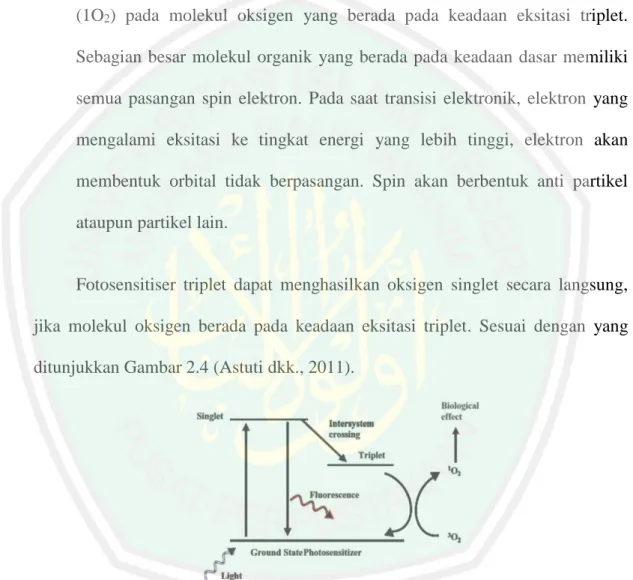 Gambar 2.4 Diagram Level Energi Reaksi Fotokimia Tipe II  (Astuti dkk., 2011) 