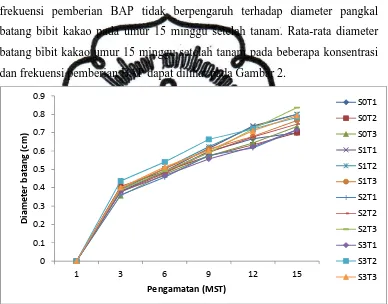 Gambar 2. Grafik diameter batang bibit kakao pada umur 15 minggu  setelah tanam pada beberapa konsentrasi dan frekuensi pemberian BAP