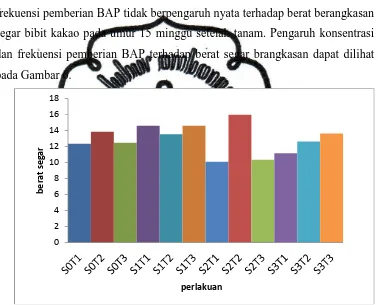 Gambar 6. Pengaruh konsentrasi dan frekuensi pemberian BAP terhadap  berat segar brangkasan bibit kakao pada umur 15 MST