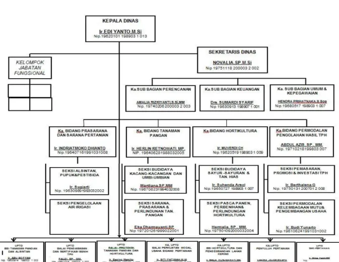 Gambar 2.2 Struktur Organisasi DTPHPL  Penjelasan : 