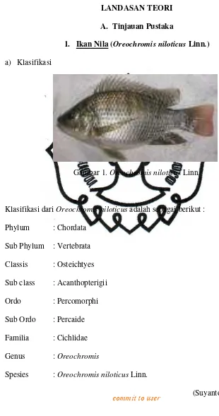 Gambar 1. Oreochromis niloticus Linn. 