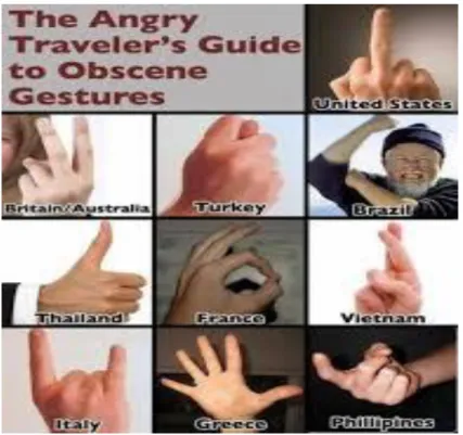 Gambar 1.22 The Angry Traveler’s Guide to Obscene Gestures   Source: Google Images  