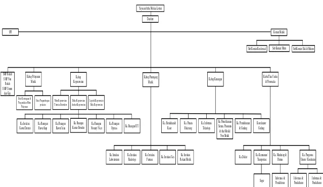 Gambar 2.1. Struktur Organisasi Rumah Sakit Umum Artha Medica Binjai