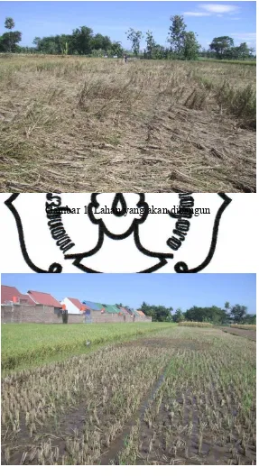 Gambar 1. Lahan yang akan dibangun