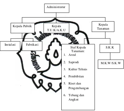 Gambar 3. Struktur organisasi PG Colomadu 