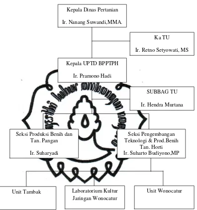 Gambar 4.1. Struktur Organisasi BPPTPH Provinsi DIY 