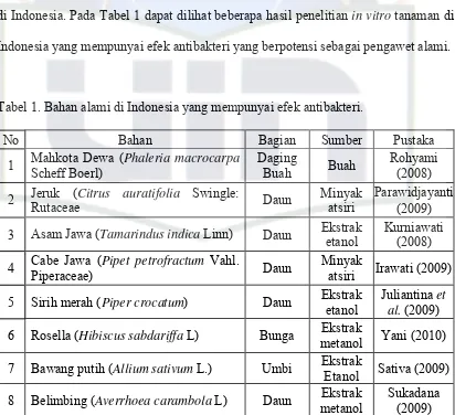 Tabel 1. Bahan alami di Indonesia yang mempunyai efek antibakteri. 