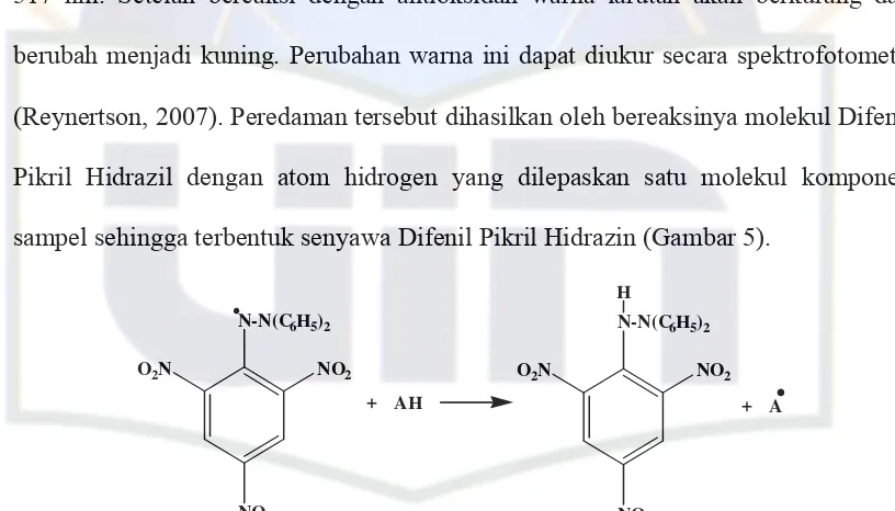 Gambar 5. Reaksi DPPH  Dengan Antioksidan 