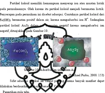 Gambar 10. Adsorbsi Ion-ion dalam Air 